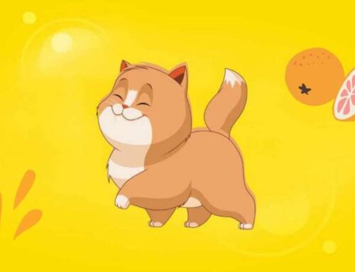 «Как назвать рыжеватого кота?» 10 кличек для возлюбленных рыжеватых питомцев
