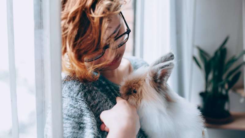 7 причин не заводить и не дарить кролика в новом году